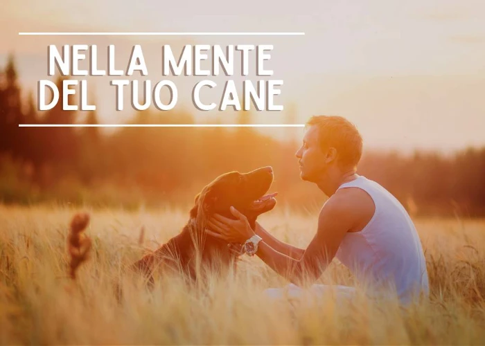 Nella Mente del tuo Cane – Educazione Cinofila