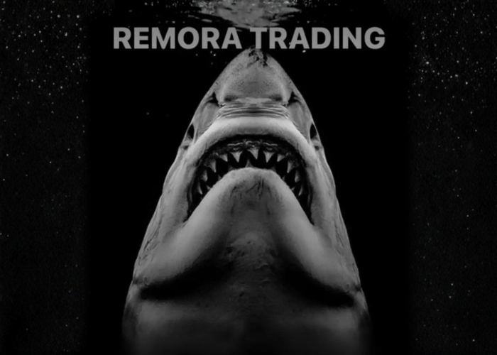 Remora Trading – Luigi Remoratrading